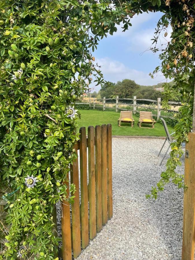 Holmdale Holiday Cottages Rye Kültér fotó